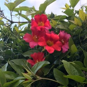 Meet your Posher, Eva